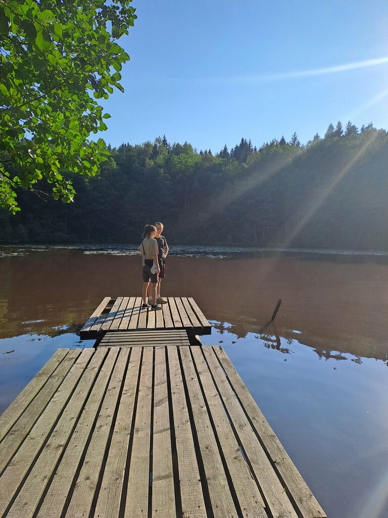 Неясыть