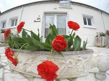 Près Des Montgolfières, Rezervovat Hotel Hotely v Loir-et-Cher s parkováním, Parkování