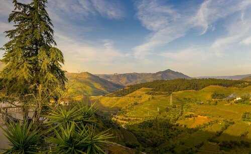 Quinta da Portela Douro, Забронировать Отель «постель и завтрак» Армамар Провинция Дору