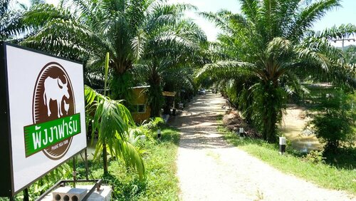 Phang nga farmstay, Забронировать Отель Такуа Па Пхангнга