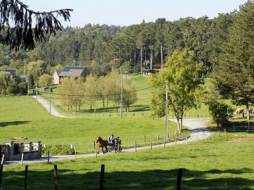 B&B Les Buissonnets de Longchamps, Забронировать Отель «постель и завтрак» Рошфор провинция Намюр