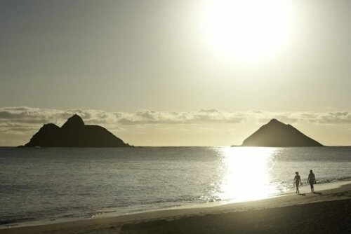 Hawaii's Hidden Hideaway Bed & Breakfast, Rezervovat Hotel Kailua Windward Coast