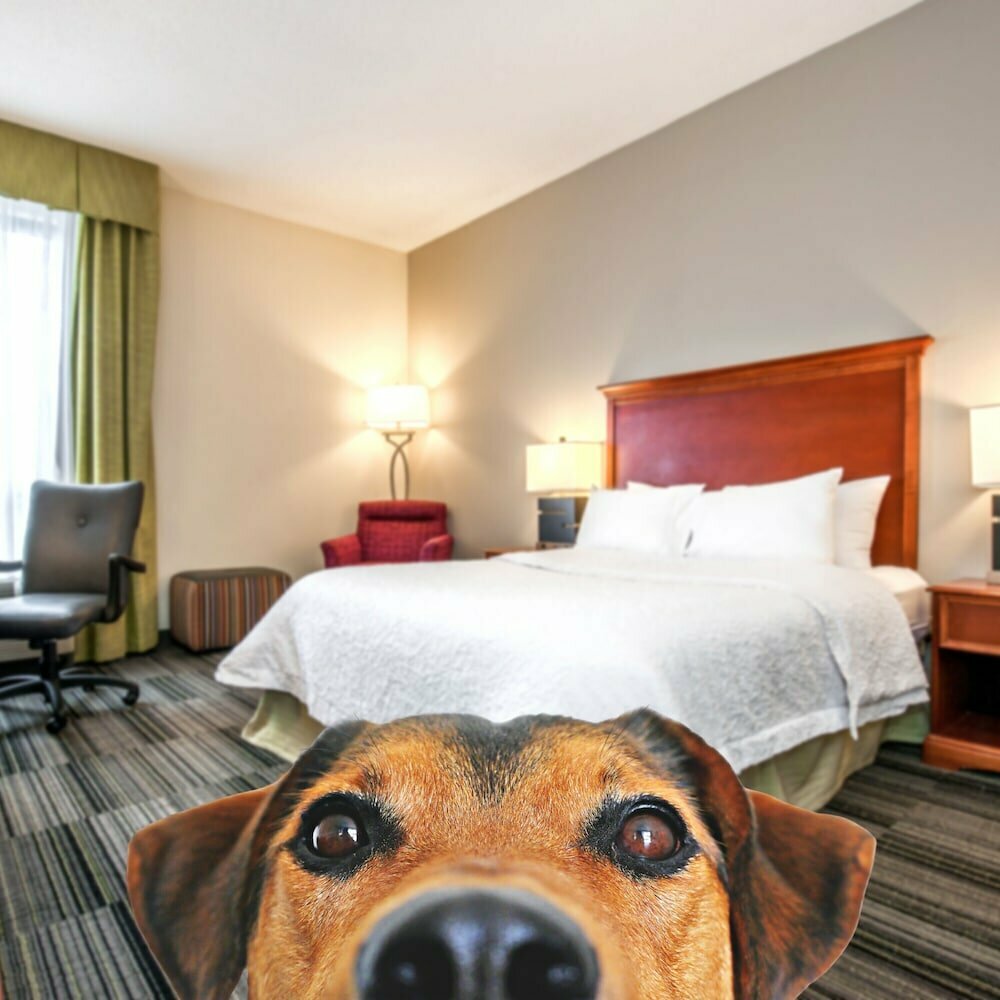 Hampton Inn