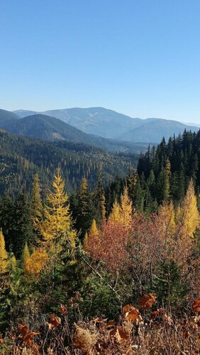 FairBridge Inn & Suites Kellogg, Buchen Sie Hotel Kellogg Idaho