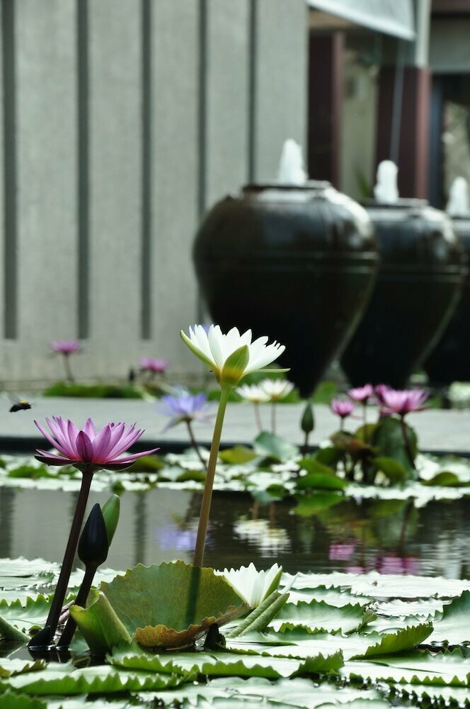 The Residence Resort & SPA Retreat