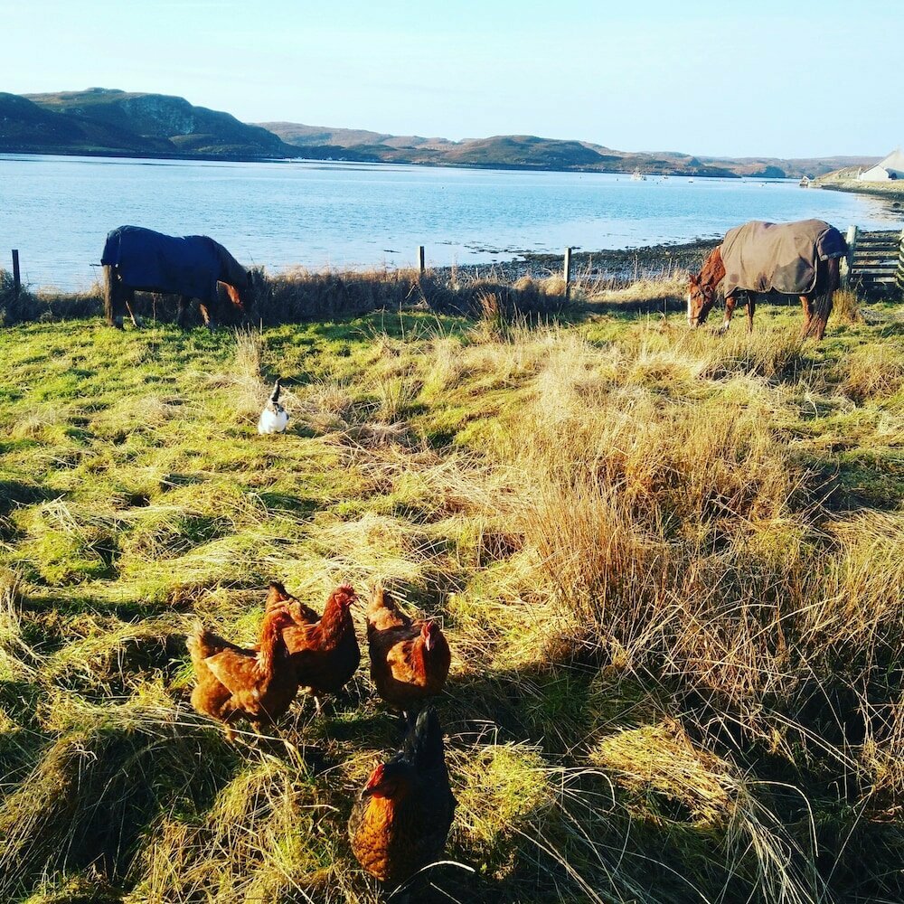 Islebebythesea