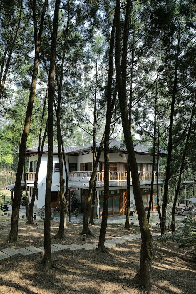 Nine Trees Forest House