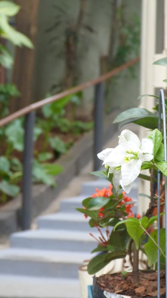 Olah Hostel