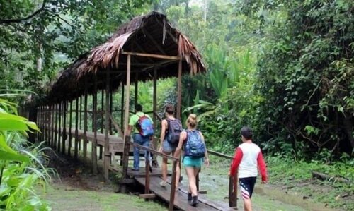 Centro espiritual luz del amazonas, Rezerwuj Bed and Breakfast Iquitos 