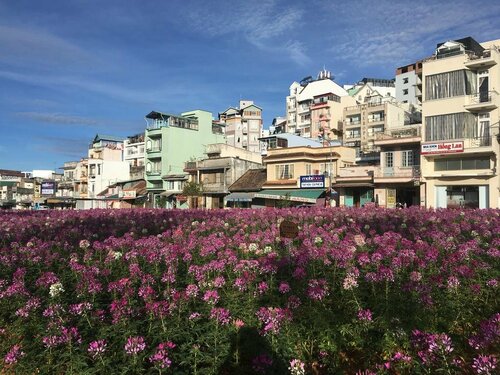 Thi Thao Gardenia Hotel, Забронировать Отель СПА-отели Далата, рядом с Парк цветов города Далат, SPA-услуги