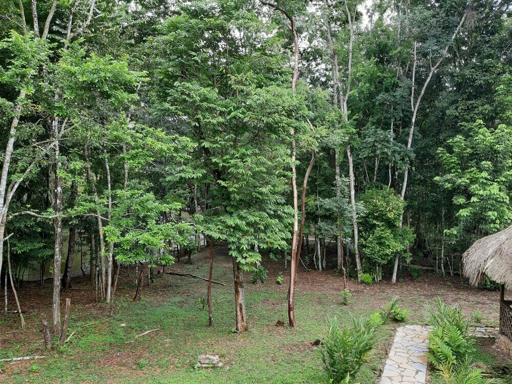 Campamento Lacandones