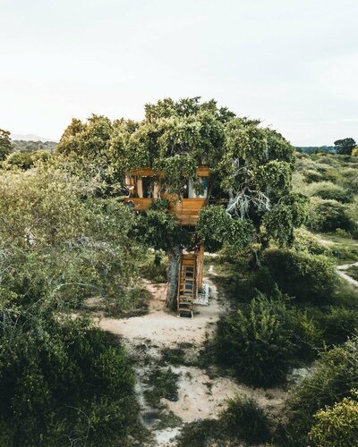 Yala Leopard Lodge, Prenota Hotel Yala Yala National Park