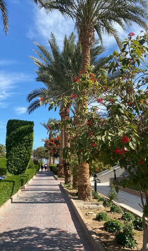 Golden Beach Resort, Забронировать Курортный отель Ао-Нанг-Бич провинция Краби