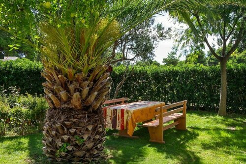 Hostel Oktarin, Buchen Sie Hostel Hostels in Gespanschaft Split-Dalmatien, Hostel