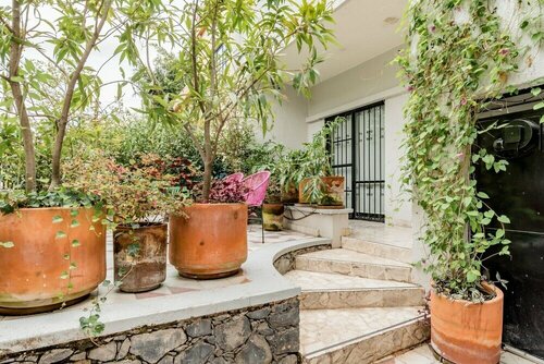 Casa Alexia, Book Guesthouse Cheap Hotels in Jalisco