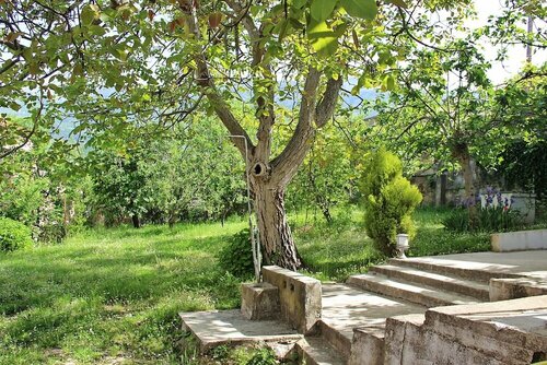 Guest House Vojinovic, Забронировать Гостевой дом Гостевые дома Babalonija, Гостевой дом