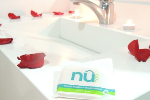 Nu Hotel, Rezerwuj Hotel Xico Veracruz, w pobliżu Benito Juarez Arena