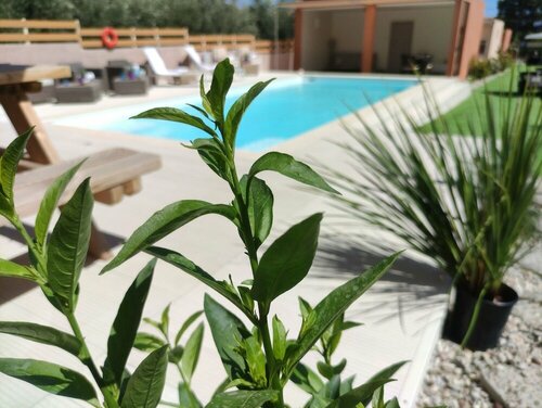 Modular Bungalows With Heated Pool Artemis Greece, Забронировать Отель Луца Спата - Артемида