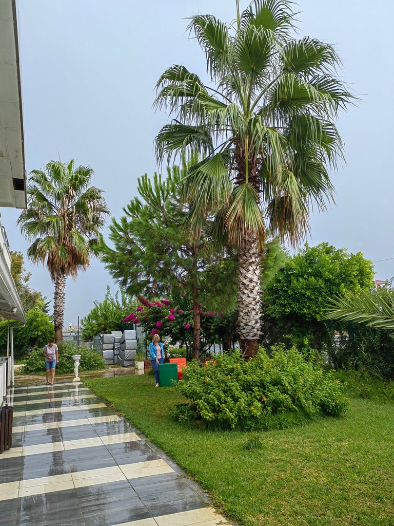 Prenses Sealine Beach Hotel