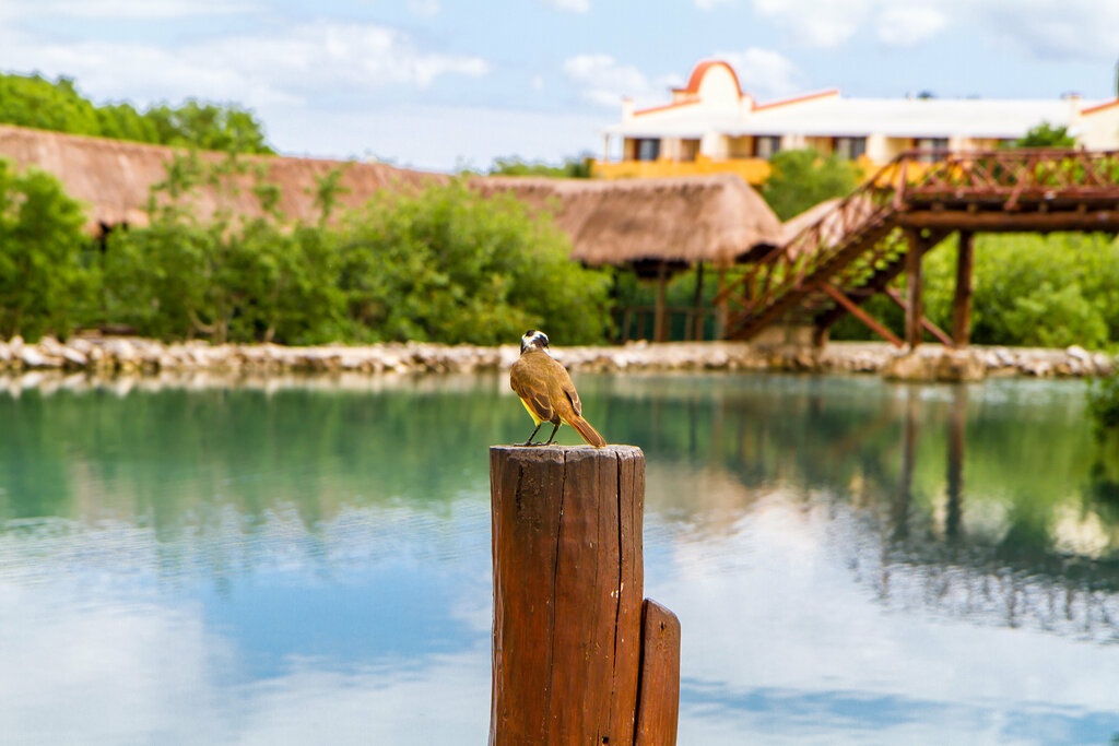 Family Selection at Grand Palladium Kantenah Resort & Spa - All Inclusive