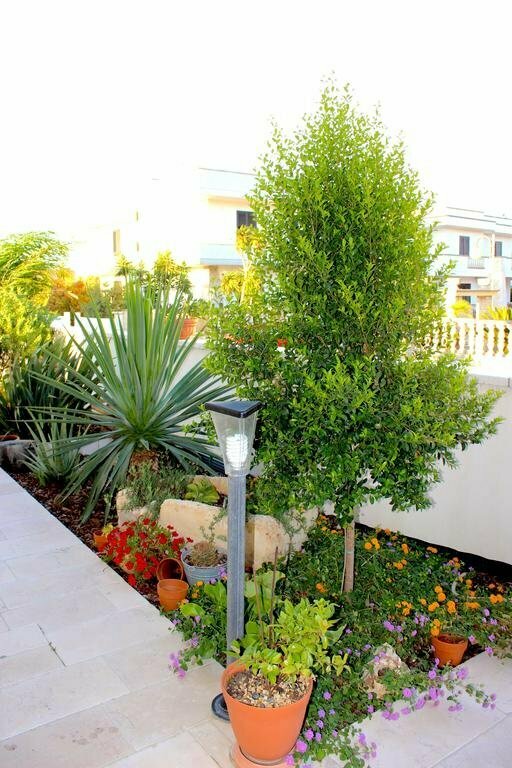 B&B Barone