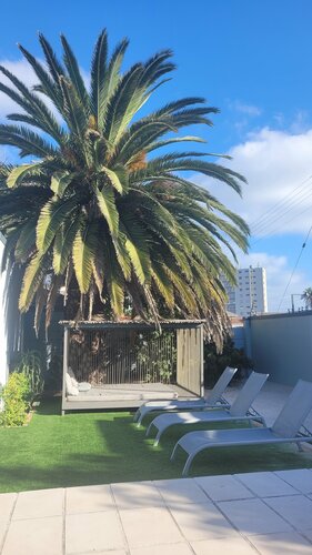 SALT Boutique Guesthouse, Book Boutique Hotel SPA-hoteller i Table Bay, SPA