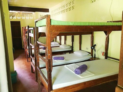 Elternative Hostel