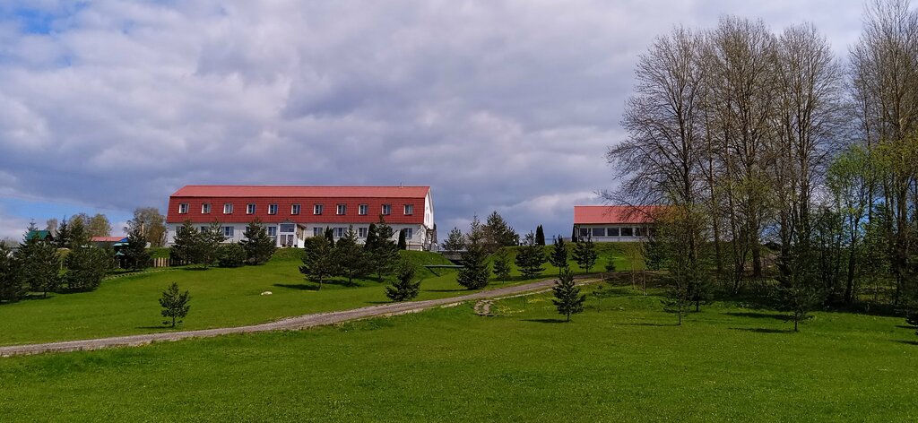 Forest harbor