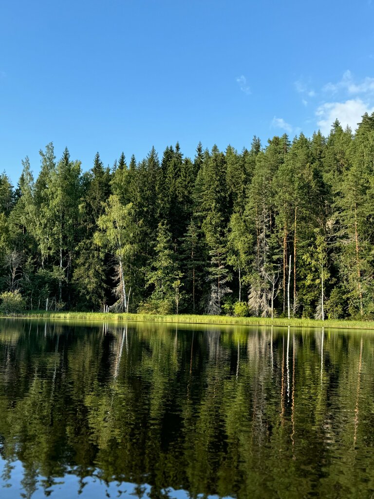 Морошка Village