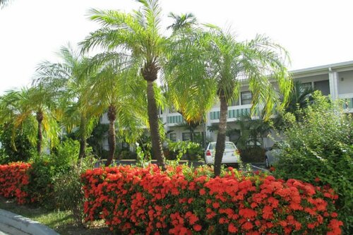 Shalimar Motel, Prenota Motel Bayshore Florida