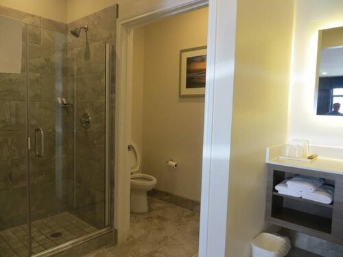 Palace Inn Blue I-45 & Woodridge, Book Hotel Houston Houston