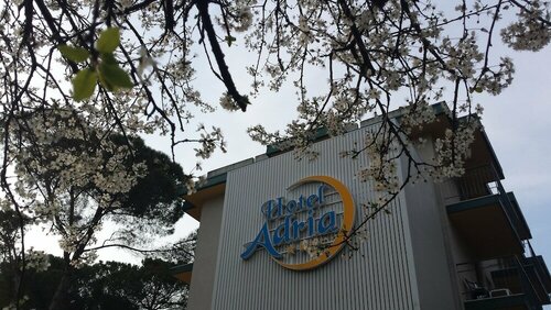 Hotel Adria, Забронировать Отель Отели Sabbiadoro с завтраком, Завтраки
