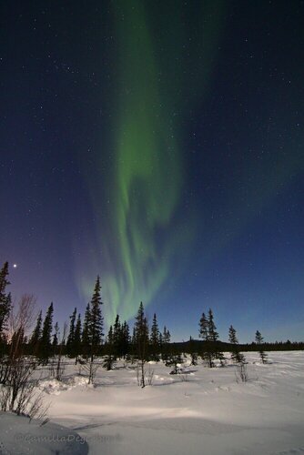 Hotel E-10, Book Hotel Hoteller i Lapland Sweden med parkering, Parkering