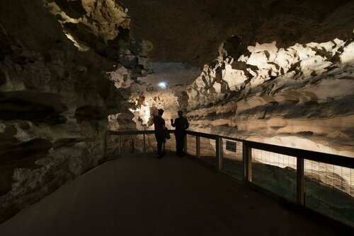 Limestone Coast Tourist Park, Reserva ahora Resort Hoteles en Australia Meridional con aparcamiento, Aparcamiento