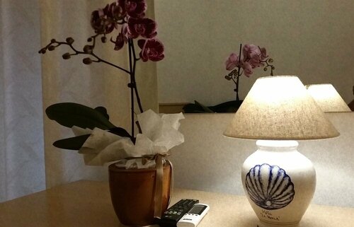 Hotel La Perla, Забронировать Отель Праяно Побережье Амальфи