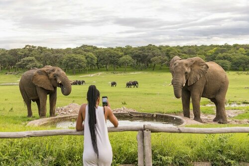 Hwange Safari Lodge, Prenota Hotel Hwange Matabeleland North