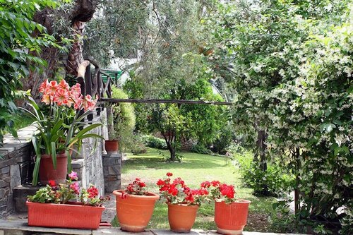 Diplomats Holidays, Rezerwuj Apartament Hotele w Pelion ze śniadaniem, Śniadanie