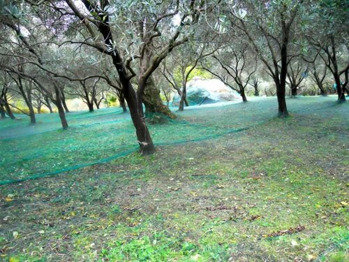 Oasi della Pace, Забронировать Отель Джой Кампания