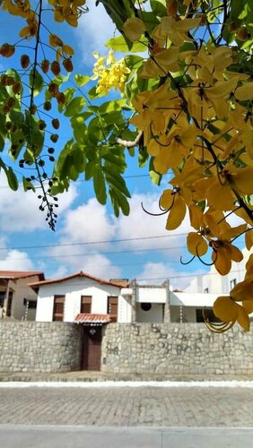 Conceitual Hostel Natal, Забронировать Хостел Хостелы Риу-Гранди-ду-Норти, Хостел