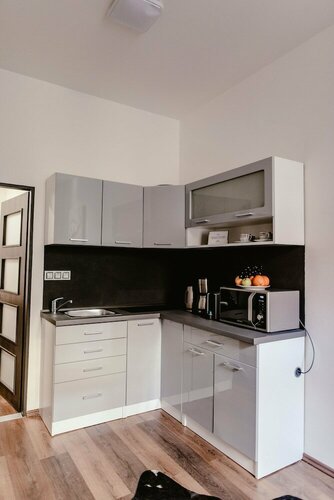 Apartment Pekarska 29 by goodnite cz, Забронировать Апартаменты/квартира Апартаменты Брно, рядом с Brno Botanical Garden, Апартаменты/квартира