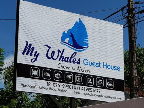 My Whales Guest House
