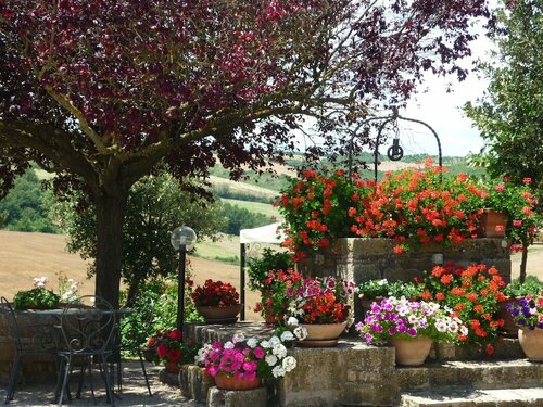 Bed & Breakfast Castello Di Belforte, Book Hotel Todi Umbrien