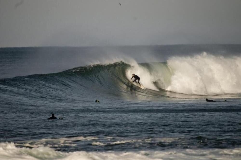 Nesha Surf Flat