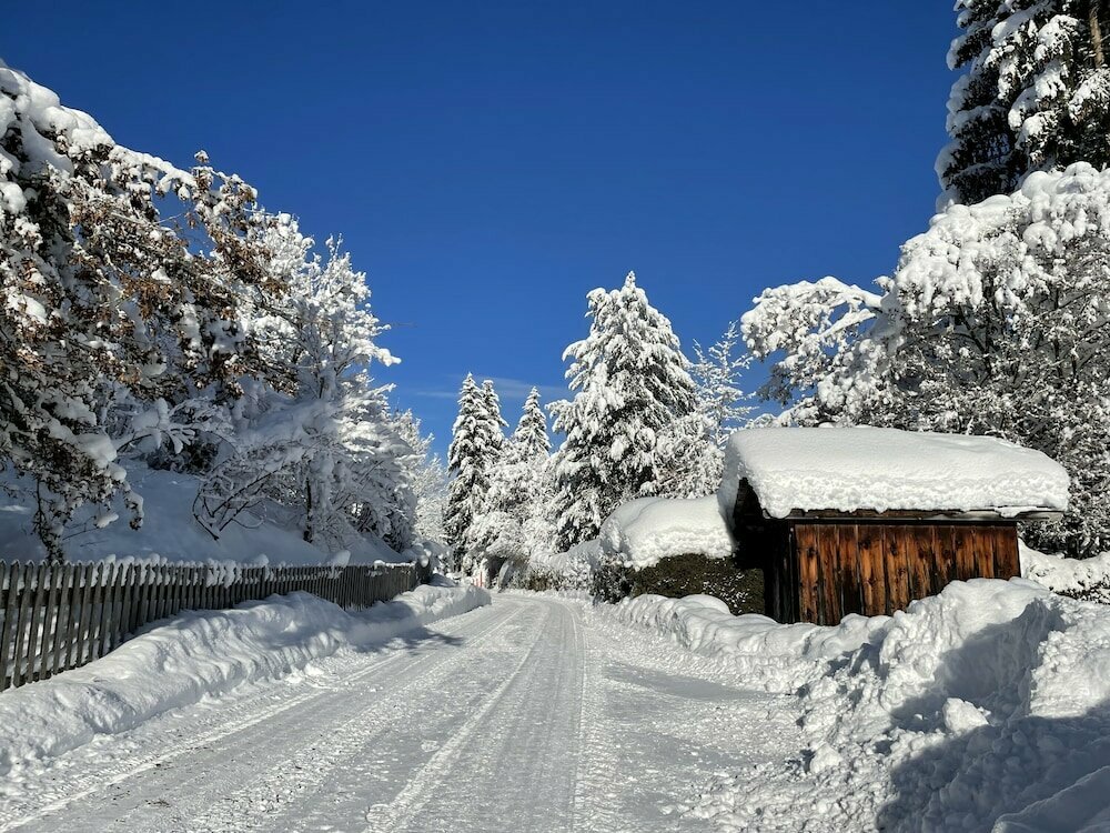 Alpenchalet Weidhaus