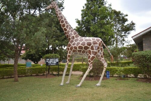 BTL Christian International Conference Centre, Prenota Hotel Hotel 3 stelle a Ruiru, 3*