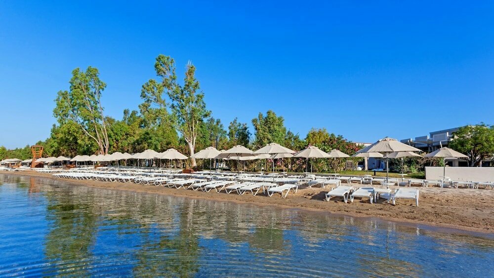 Asteria Venus Didim