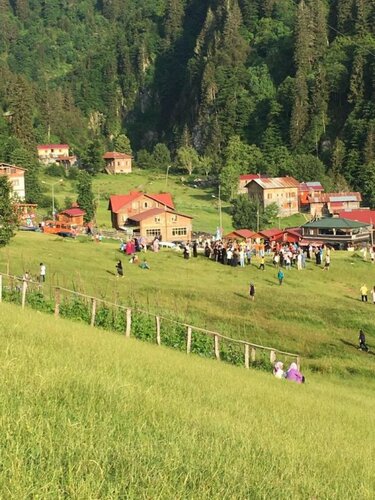 Ayder Hasimoglu Hotel, Rezervovat Hotel Camlihemsin 
