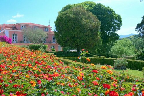 WOT Sarrazola Soul, Забронировать Гостевой дом Колареш Sintra-Cascais Natural Park