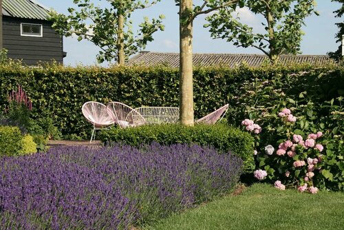 Boutique hotel Villa Oldenhoff, Prenota Villa Abcoude Utrecht