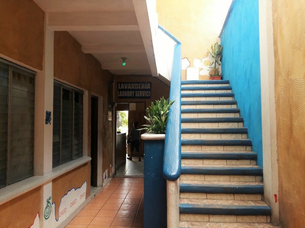 Flores de Peten